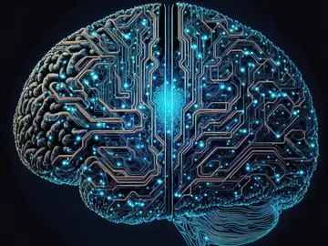 Un estudio internacional revela que el espacio que rodea a las neuronas participa activamente en cómo el cerebro procesa y transmite sus señales químicas Un estudio internacional revela que el espacio que rodea a las neuronas participa activamente en cómo el cerebro procesa y transmite sus señales químicas