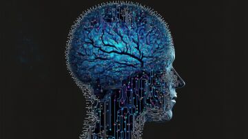 Un estudio revela que el hipocampo humano sigue analizando y prediciendo el lenguaje incluso bajo anestesia desafiando lo que cre&iacute;amos sobre la consciencia