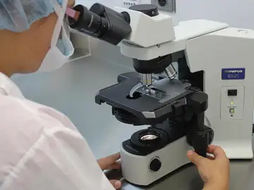 El mayor estudio genético sobre esclerodermia explica su distinto impacto en mujeres y hombres El mayor estudio genético sobre esclerodermia explica su distinto impacto en mujeres y hombres