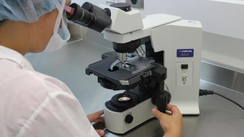 El mayor estudio genético sobre esclerodermia explica su distinto impacto en mujeres y hombres