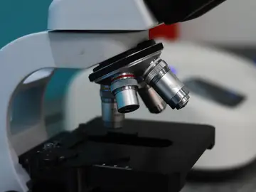 Cáncer de mama: una IA sueca logra detectar los primeros signos de tumor hasta 6 años antes que los médicos Cáncer de mama: una IA sueca logra detectar los primeros signos de tumor hasta 6 años antes que los médicos