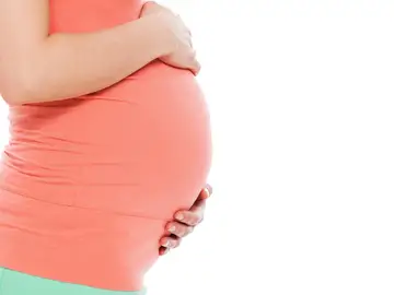 Reducir el coste de la reproducción asistida podría multiplicar los nacimientos hasta 2,6 veces Reducir el coste de la reproducción asistida podría multiplicar los nacimientos hasta 2,6 veces