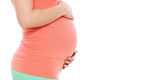 Reducir el coste de la reproducción asistida podría multiplicar los nacimientos hasta 2,6 veces