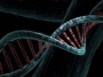 El genoma completo permite identificar nuevas variantes clave para mejorar el diagn&oacute;stico precoz de enfermedades y avanzar hacia una medicina m&aacute;s personalizada