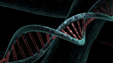 El genoma completo permite identificar nuevas variantes clave para mejorar el diagn&oacute;stico precoz de enfermedades y avanzar hacia una medicina m&aacute;s personalizada