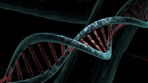El genoma completo permite identificar nuevas variantes clave para mejorar el diagnóstico precoz de enfermedades y avanzar hacia una medicina más personalizada