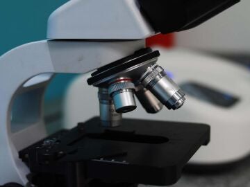 Cient&iacute;ficos elaboran el mapa molecular m&aacute;s detallado del autismo hasta la fecha