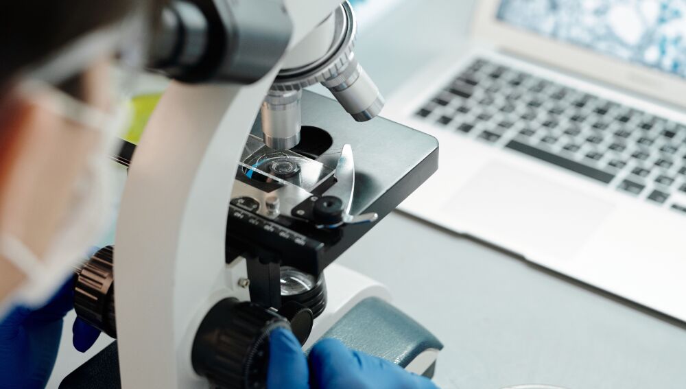 Investigador examinando muestras a través de un microscopio con una placa de petri en un laboratorio.