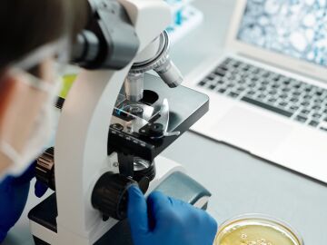 Investigador examinando muestras a trav&eacute;s de un microscopio con una placa de petri en un laboratorio.