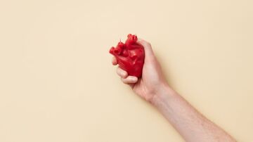 Reclaman una atenci&oacute;n cardiovascular m&aacute;s equitativa e integral en el D&iacute;a Mundial del Coraz&oacute;n
