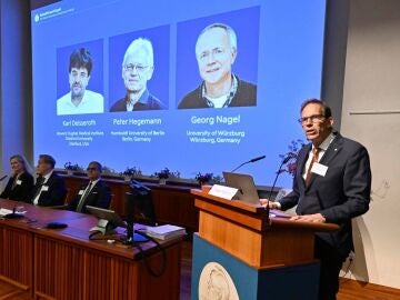  Nobel de Medicina 2026 para los creadores de la optogen&eacute;tica, la t&eacute;cnica que ilumina el cerebro vivo